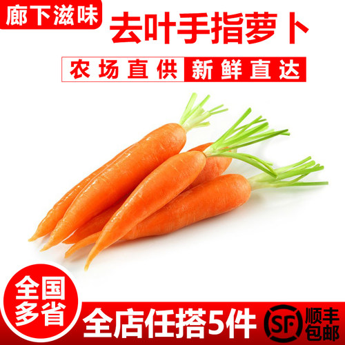 去叶迷你手指萝卜500g