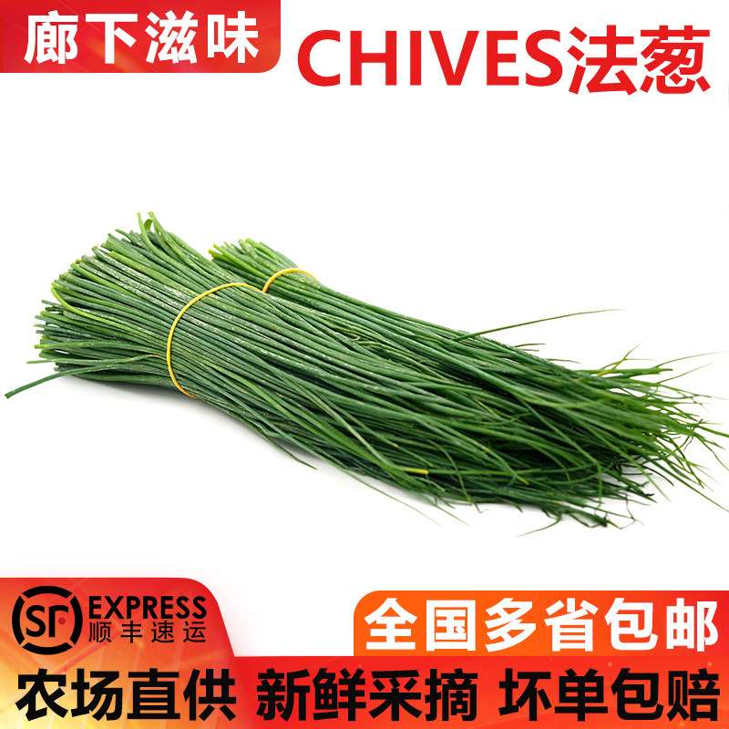 新鲜细香葱 欧洲法葱chives虾夷葱西餐调味料理沙拉北葱 顺丰包邮