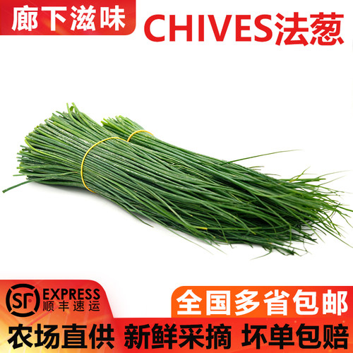 欧法葱50g新鲜细香葱沙拉