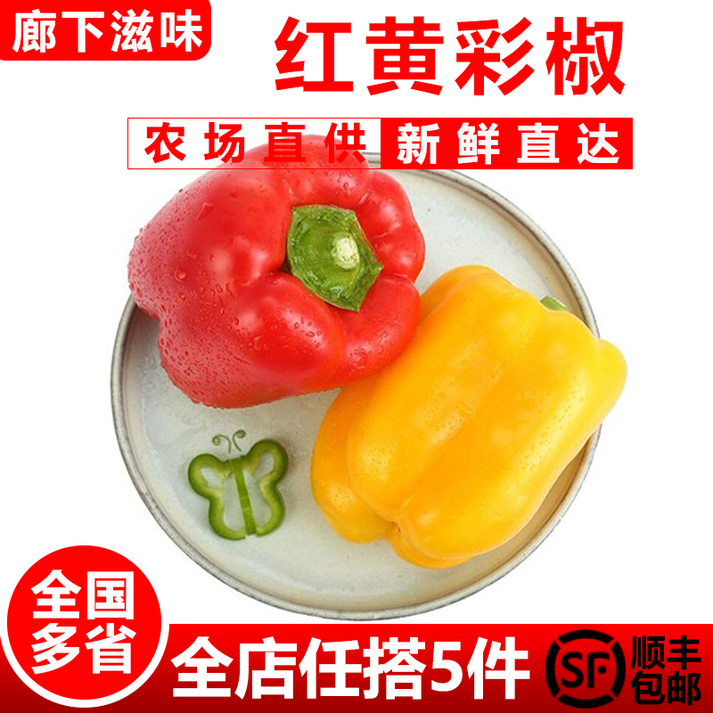 廊下滋味红黄彩椒500g