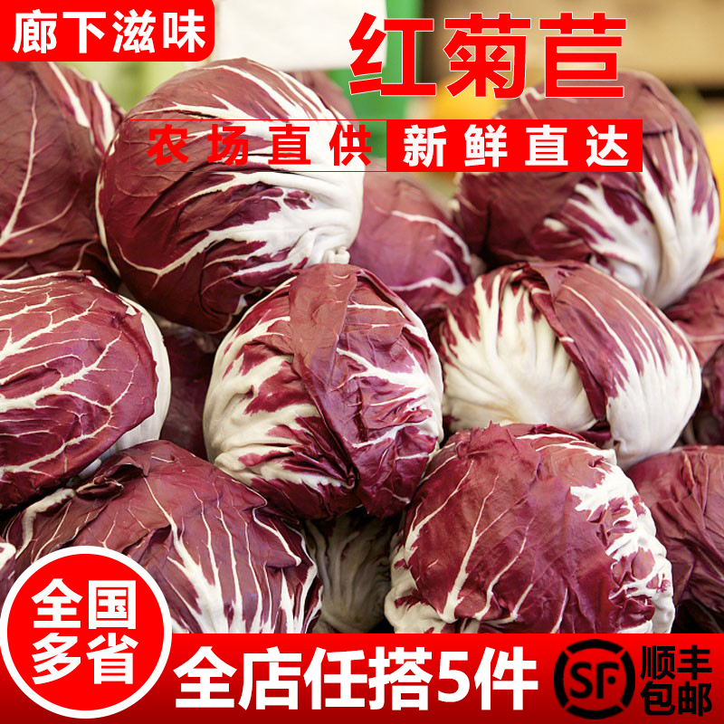 廊下滋味红菊苣500g沙拉食材