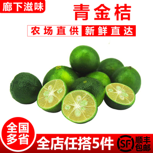 海南小青桔小柠檬金橘金桔 新鲜青金桔500g 新鲜水果 廊下滋味