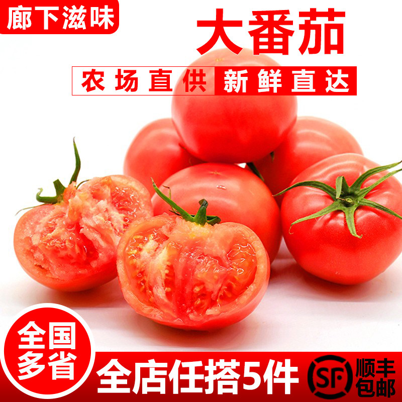【廊下滋味】西红柿500g新鲜大番茄沙瓤可生吃自然熟孕妇水果小粉,水产肉类/新鲜蔬果/熟食,番茄,淘宝优惠券,粉丝福利购,淘宝优惠卷