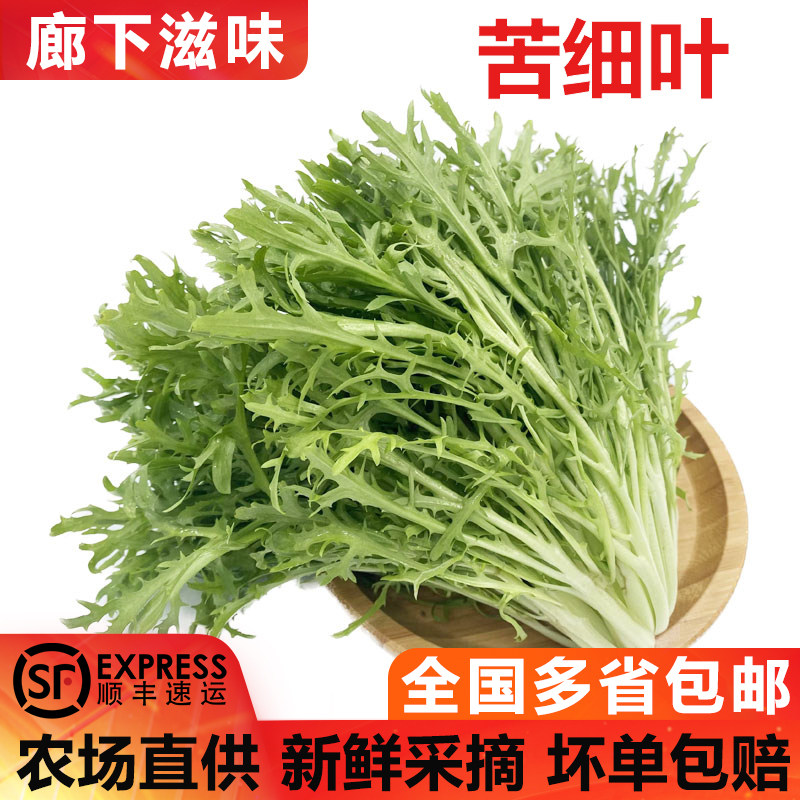 【廊下滋味】苦叶生菜5斤 新鲜蔬菜苦菊苦细叶沙拉食材狗牙菜苦苣,水产肉类/新鲜蔬果/熟食,蔬菜沙拉,淘宝优惠券,粉丝福利购,淘宝优惠卷