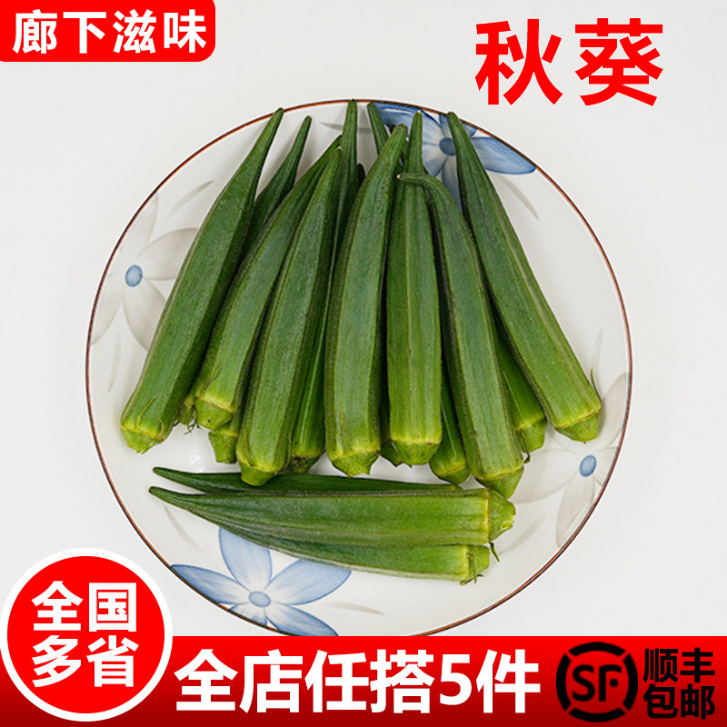 【廊下滋味】秋葵500g 新鲜黄秋葵 六角羊角豆洋辣椒 5件顺丰包邮