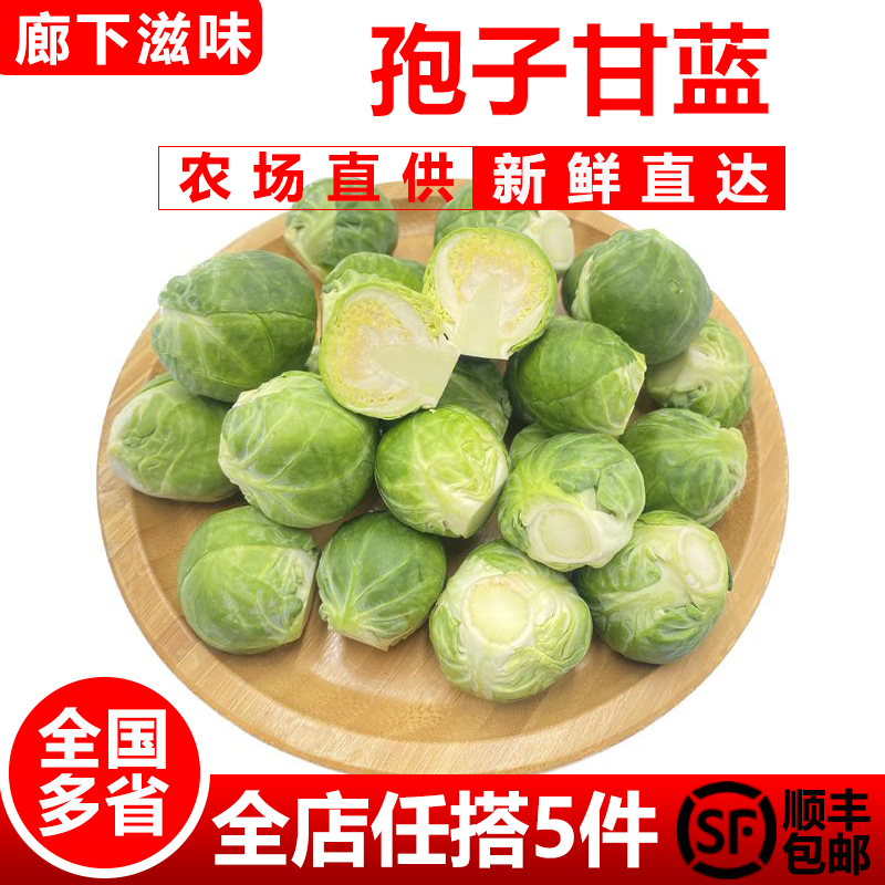 孢子甘蓝500g新鲜抱子甘蓝球芽