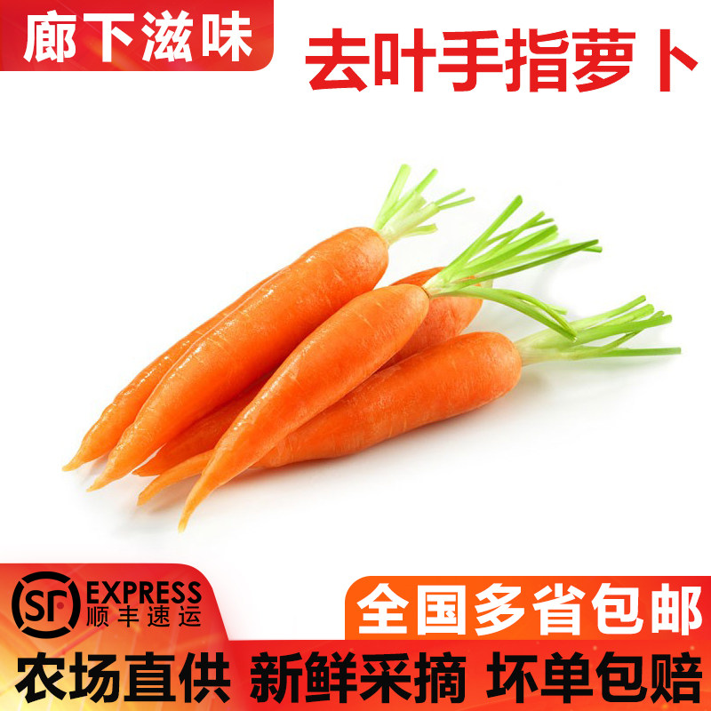 【廊下滋味】手指水果萝卜5斤装 去叶迷你细胡萝卜宝辅食沙拉食材,水产肉类/新鲜蔬果/熟食,萝卜/胡萝卜,淘宝优惠券,粉丝福利购,淘宝优惠卷