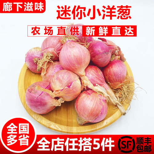 廊下滋味迷你小洋葱500g