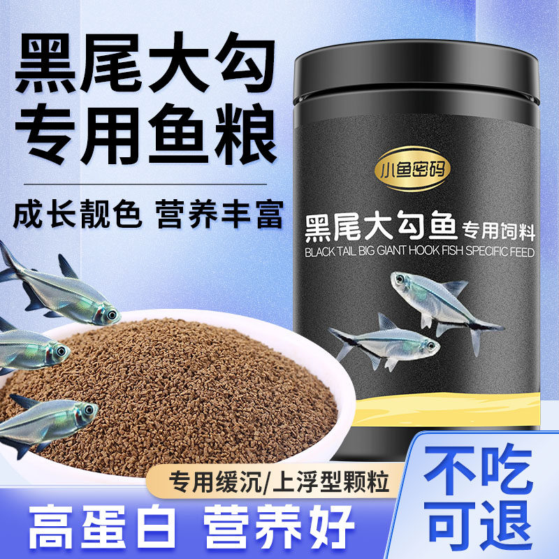 黑尾大勾鱼饲料一眉道人鱼黑尾背孔雀鱼小型鱼热带鱼红鼻剪刀鱼食