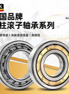 德国SKX高速轴承NJ NU1009 1010 1011 1012 1013 1014 1015EM ECM