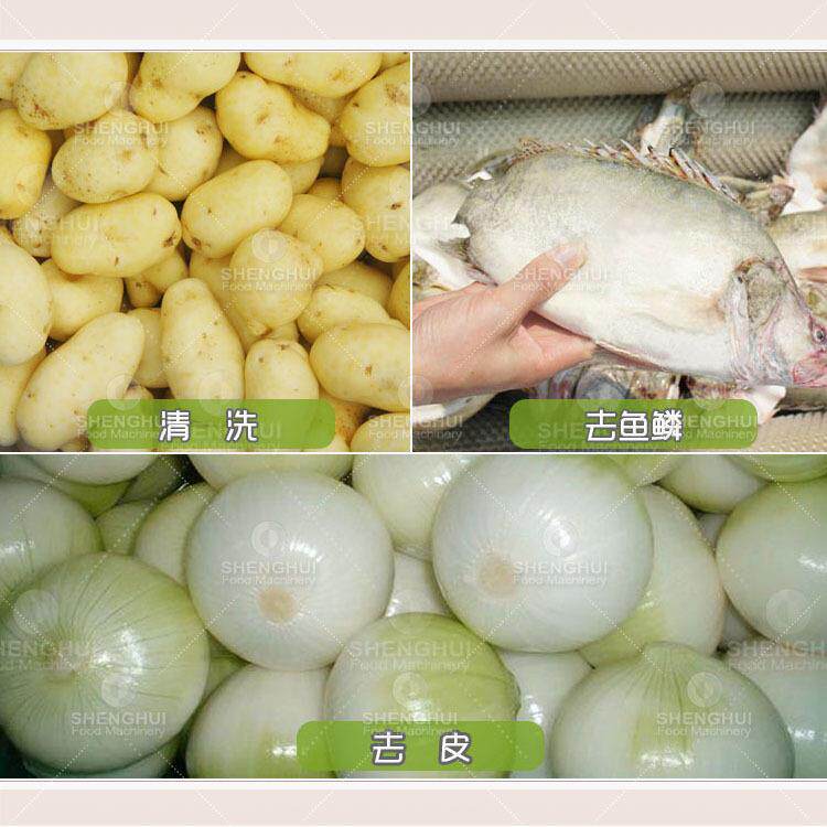 清笙辉洗水果设备生姜洋葱脱皮机去鱼蔬鳞机果毛刷洗机土豆去皮机