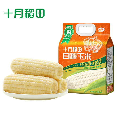 十月稻田白糯玉米主食早餐