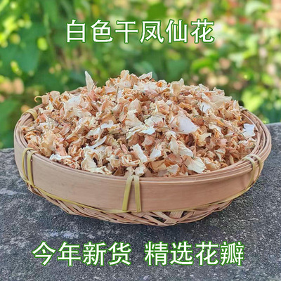 纯植物干凤仙花白花新货