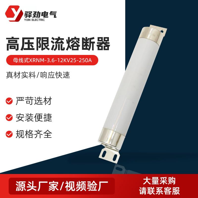 母线式高压限流熔断器XRNM-3.6-12KV25-250A高压限流熔断器