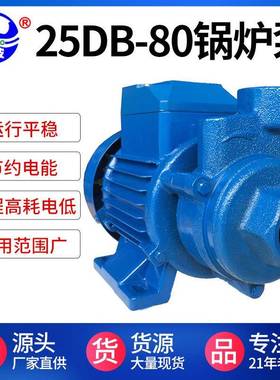 阳春25DB-80小型蒸汽发生器供水泵清水增压泵