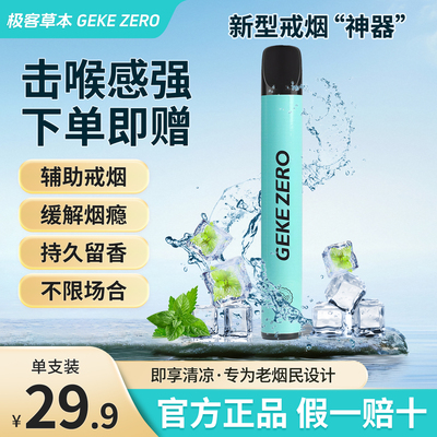 肺吸款-极客果味吸棒替烟棒