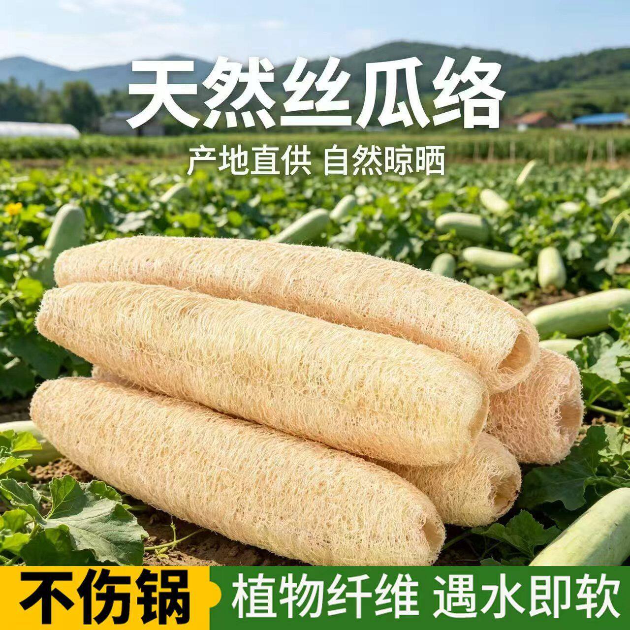 天然丝瓜络丝瓜洗碗厨房刷锅抹布沾油清洁刷百洁布神器丝瓜瓤加厚