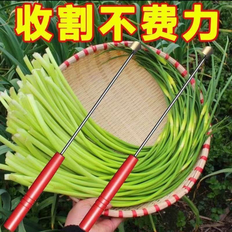 打蒜苔刮划剥蒜器神器