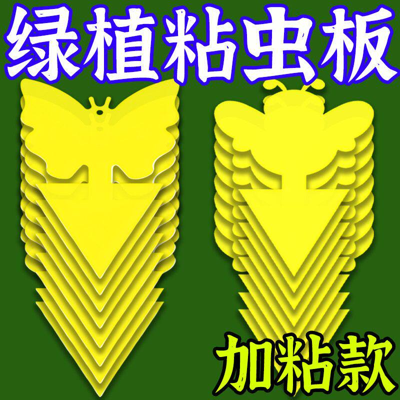 小黄板双面强力粘虫板