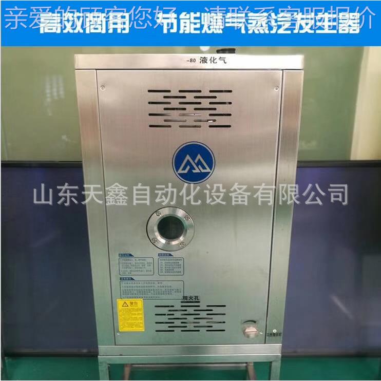 豆浆机 TKA 器 燃气蒸汽发生器30/40煮/50/60火排煤气锅炉豆制品