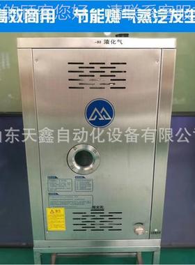 豆浆机 TKA 器 燃气蒸汽发生器30/40煮/50/60火排煤气锅炉豆制品