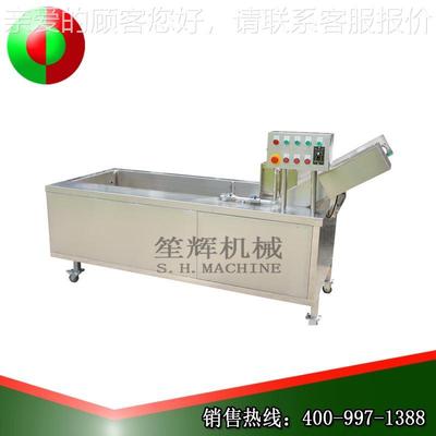 直销工 果蔬定清洗机气洗菜业泡机气泡蔬菜清洗QX-22/32机可做 OD