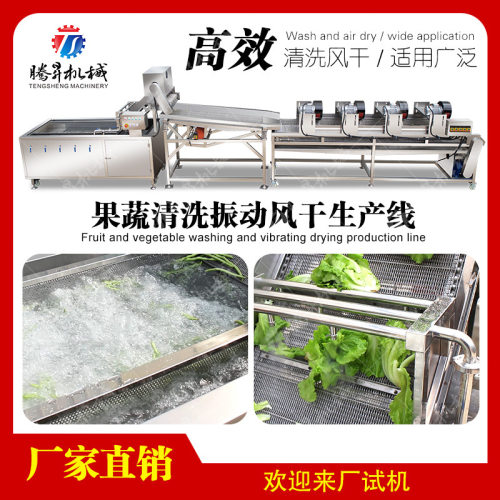 清洗振动除水风干线 萝卜流水线 胡萝卜清洗作业线 腾昇机械