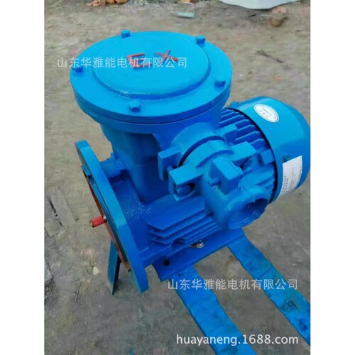 制动Y2EJ电机替代制动YE4EJ-315L1-2-160电机全钢机壳不锈钢风罩