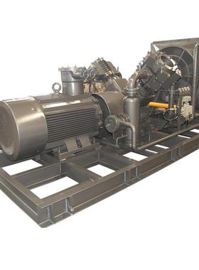 工业往复式容积式气阀工业厂家直购循环BTCT增压泵压缩机