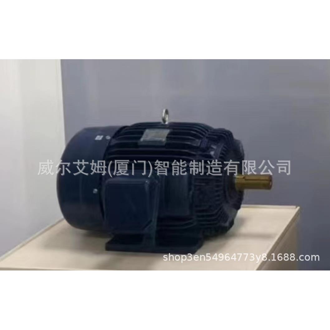 电机AEEF2N37W50HP4P卧式电机TEGH200L现货现发