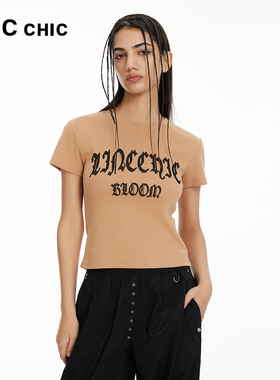 LINCCHIC金羽杰春季新款美式极简紧身复古短袖T恤女S241TS023Y