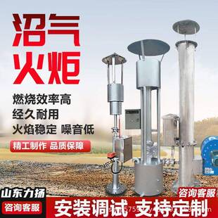 养猪场沼气火炬沼气微型小火炬养殖场沼气火炬黑膜池沼气火炬