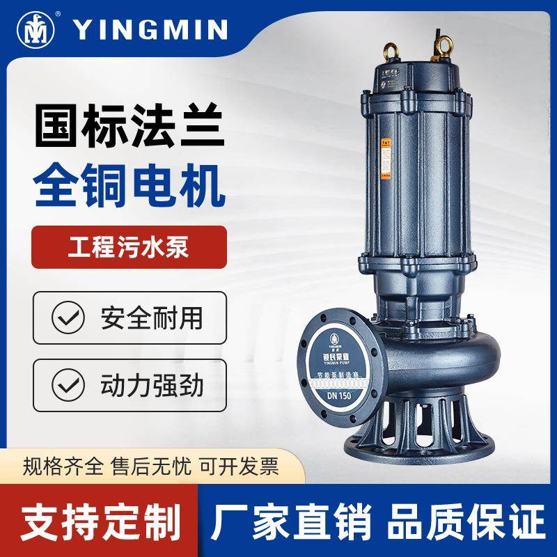 WQ三相工程污水泵大流量潜水排污泵380V大功率高扬程无堵塞泥浆泵