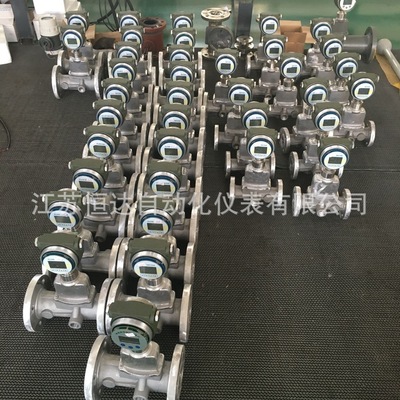 防爆天然气流量计  LNG流量计  氧气/氮气/二氧化碳/氩气流量计