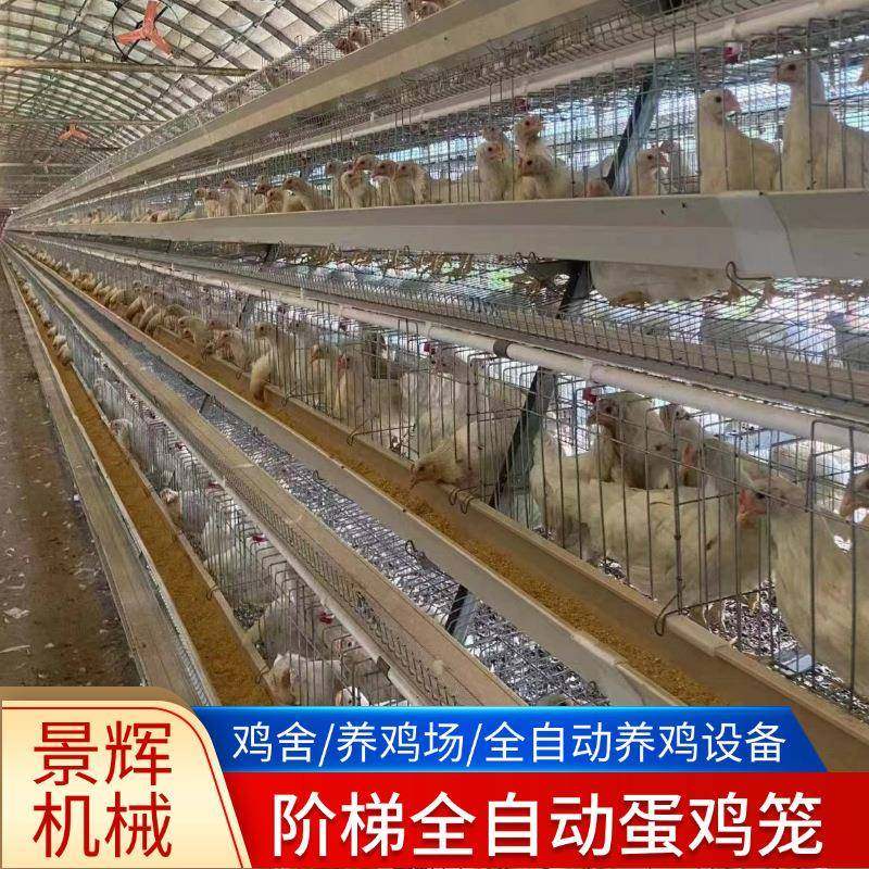 供应全自动阶梯蛋鸡笼厂家镀锌材质自动化清粪捡蛋喂料鸡笼定制,畜牧/养殖物资,特种养殖设备,淘宝优惠券,粉丝福利购,淘宝优惠卷
