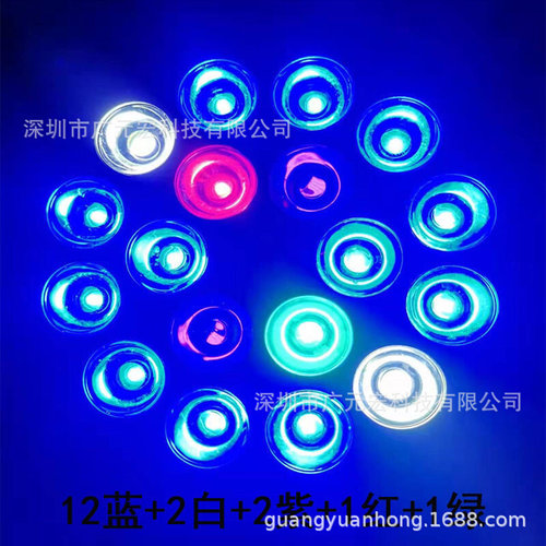 海水鱼缸灯led水草灯藻缸灯珊瑚灯照明水族箱微缸迷你补光爆藻灯