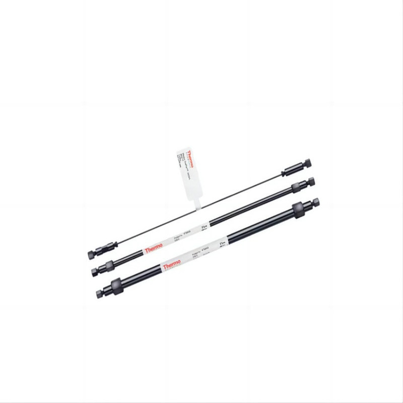 035321赛默飞戴安NS1分析与保护柱混合模式 用于反相或离子对色谱