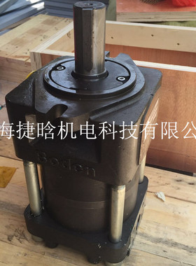 BNP4-G50F boden博顿 剪板机油泵 内啮合齿轮泵