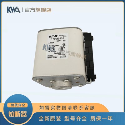 快速熔断器保险丝170M6500/6501/6503/6508/6509/6510/6511/6512