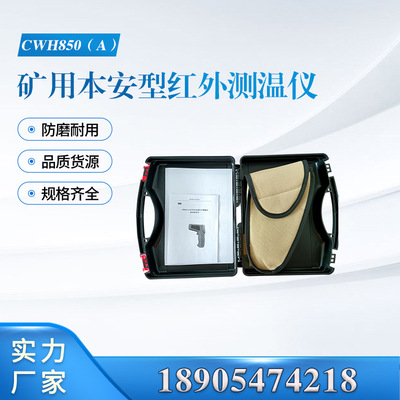 廊坊速瑞CWH850矿用测温仪
