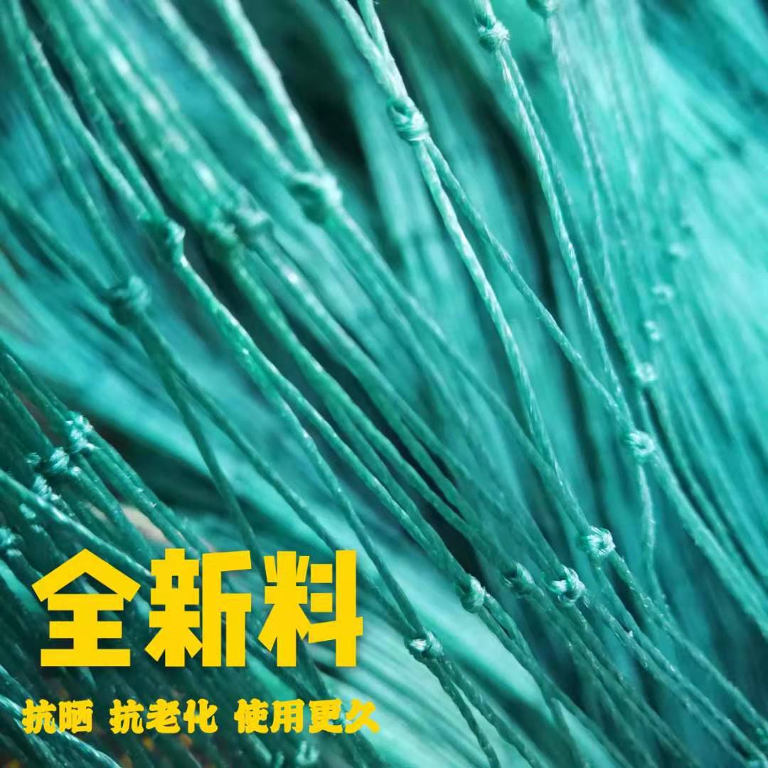 12股3.5厘米防鸟网,孔边长3.5厘米