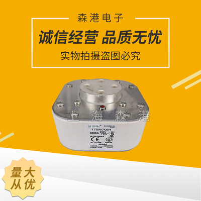 全新保险丝170M7064,熔断器/底座/熔芯 170M7062