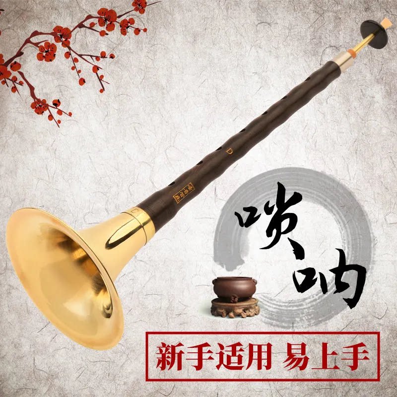 唢呐专业乐器全套初学者成人儿童