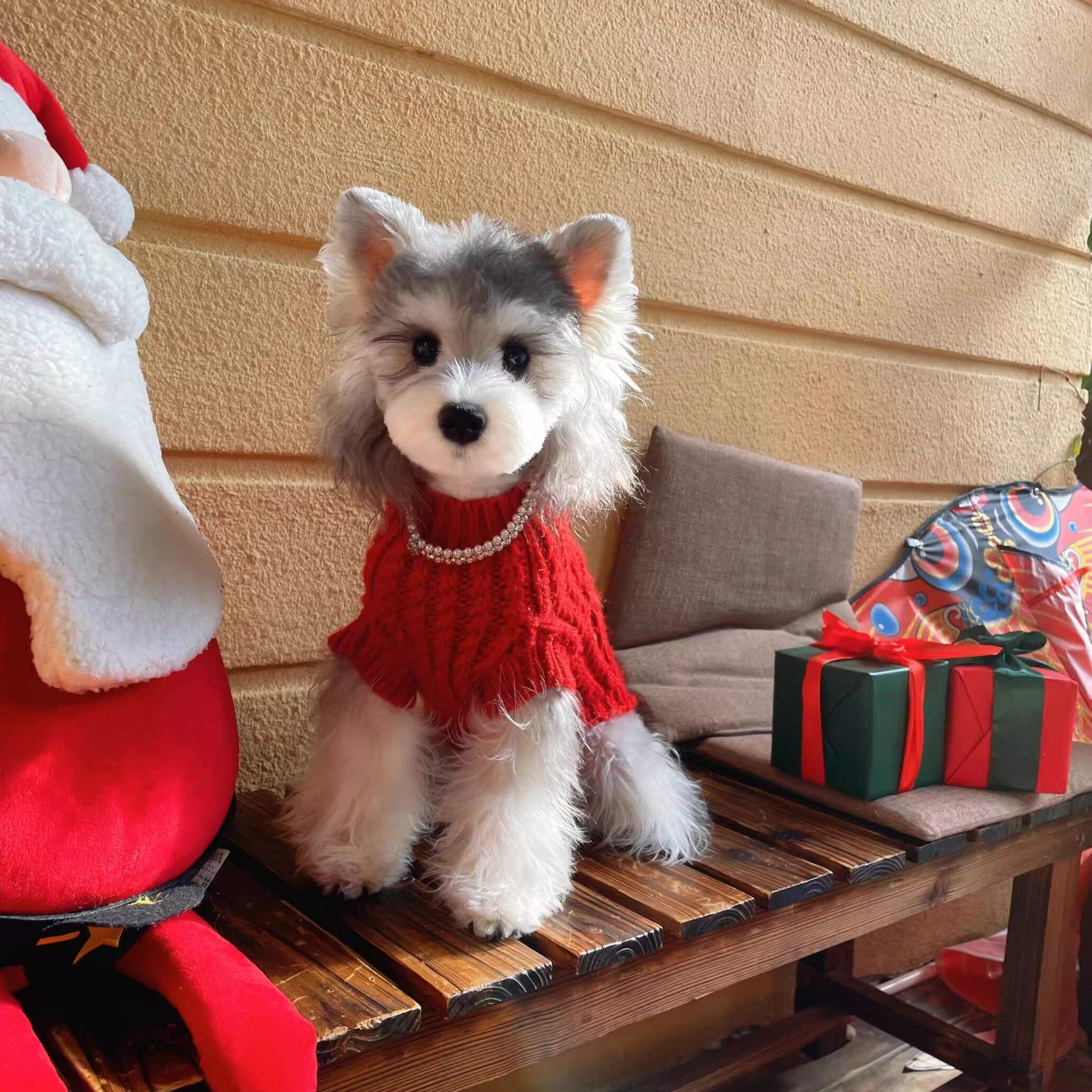 狗狗新年衣服红色毛衣冬季加厚保暖春节酒红色无袖小型犬雪纳瑞