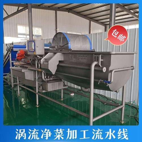 碎菜涡流震动清洗机 豇豆苋菜旋流式清洗设备 蔬菜净菜加工流水线