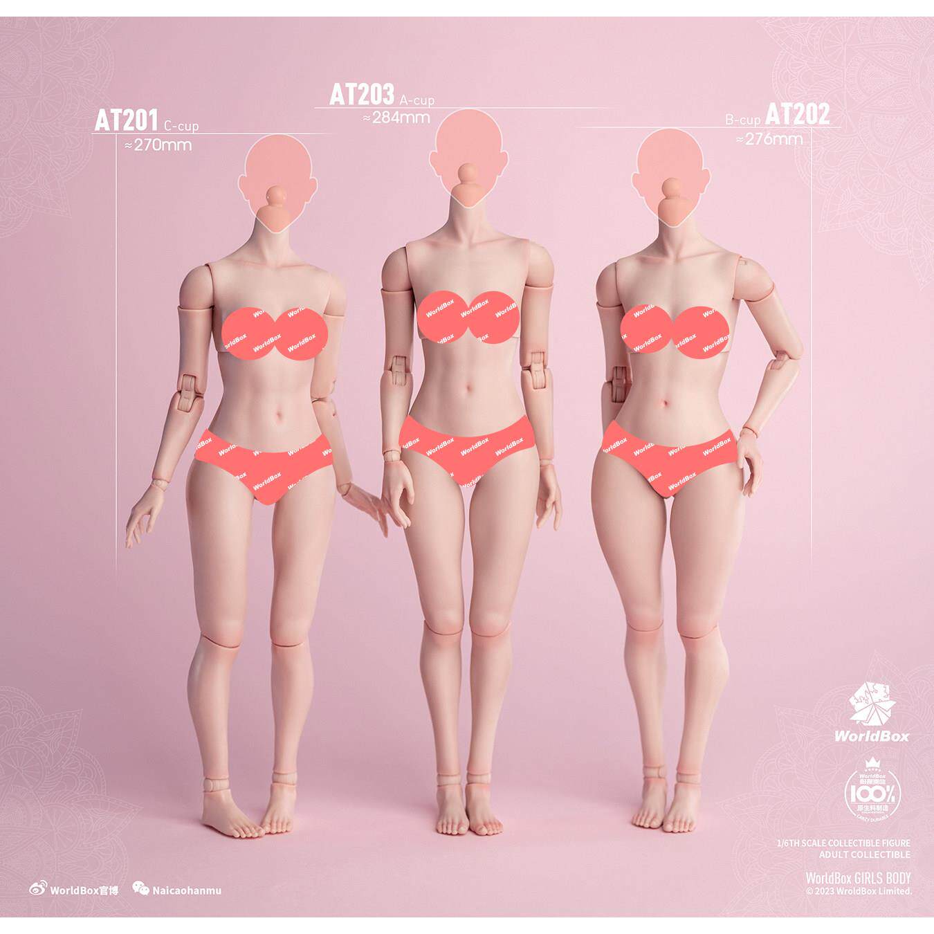 现货 WorldBox 1/6AT201 202 203女兵人关节素体 可动人偶模型