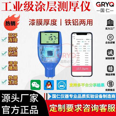 高精度镀锌层厚度测量仪漆膜油漆测厚仪双用铁铝基电镀涂层测厚仪