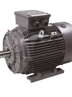 IEC标准高效变频电机2.2WIE2/IE3/IE4/IE5能效