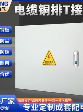 矿物质电缆铜排T接箱低压楼层桥架分接箱t型端子箱BTTZ接电转换箱
