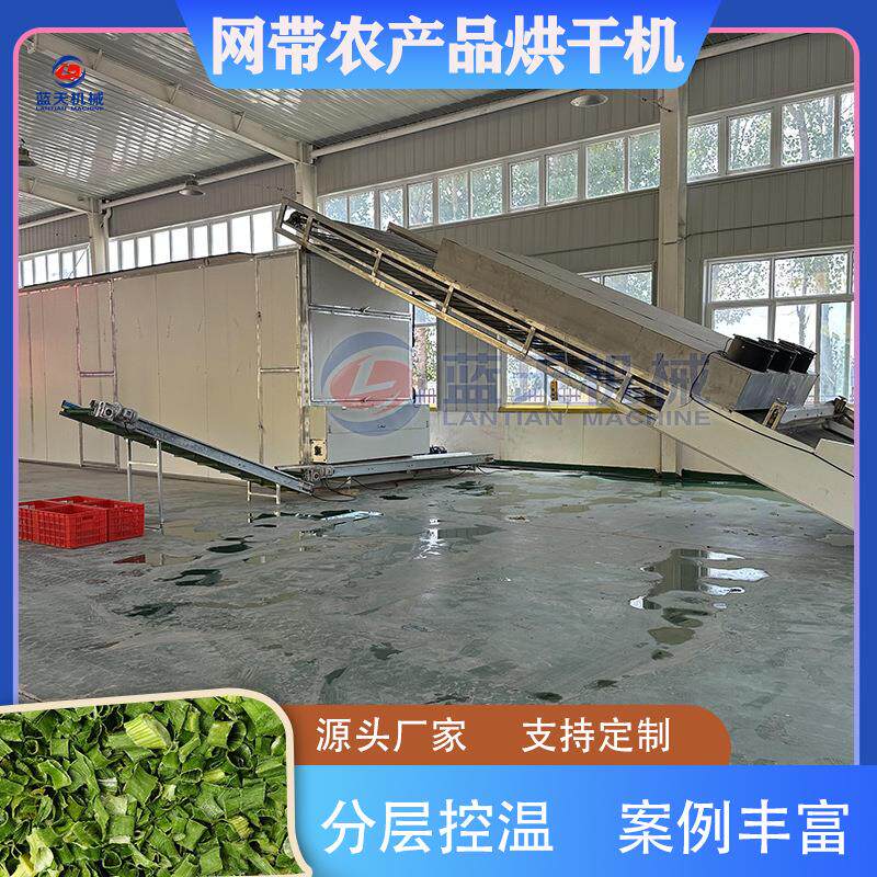 大型蔬菜烘干设备 小葱蒜苗苦瓜茄子姜片干燥机 网带农产品烘干机